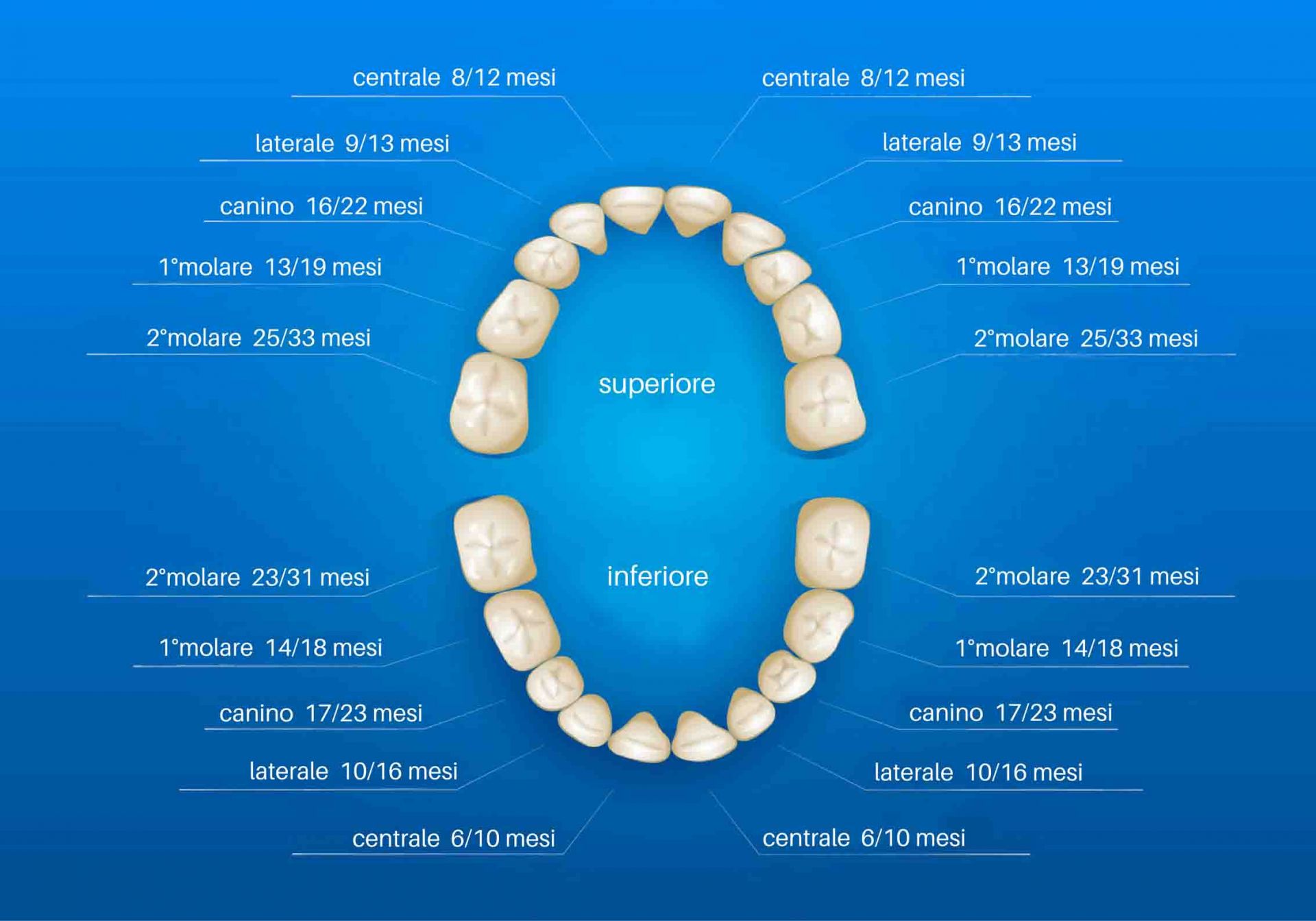 schema denti da latte